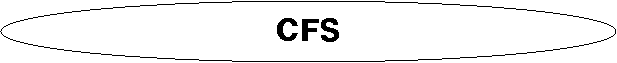 Ÿ: CFS 

